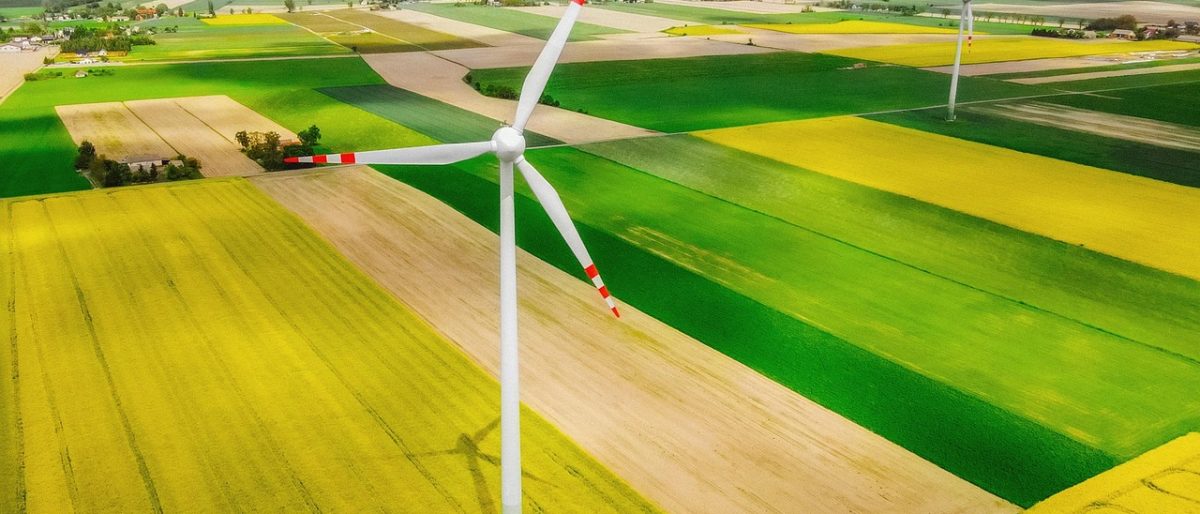 windmill, field, landscape, the windmills, agriculture, ecology, rapeseed, the horizon, wellness, the cultivation of, yellow, village, energy, wind energy, green, fields, nature, holding, windmill, windmill, windmill, agriculture, agriculture, agriculture, ecology, ecology, village, energy, energy, energy, energy, energy, wind energy, wind energy